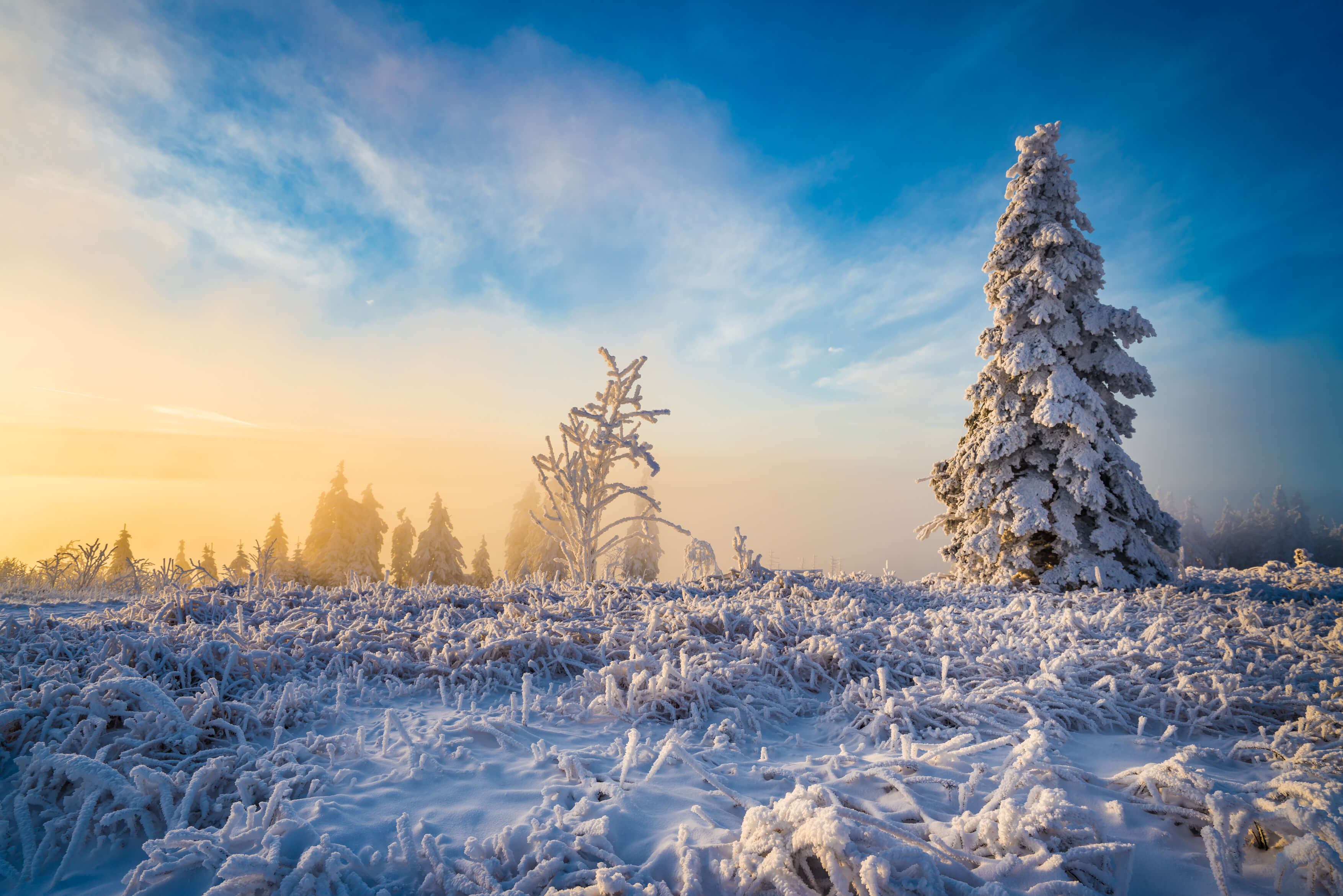Hornisgrinde Winterlandschaft 